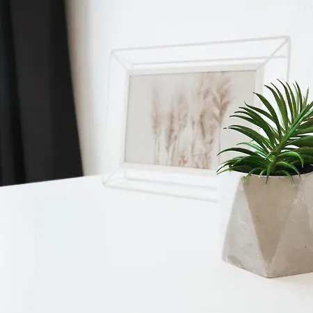 Sh Team 4 Fuer Max 19 Personen L Monteure L Messe L Business *