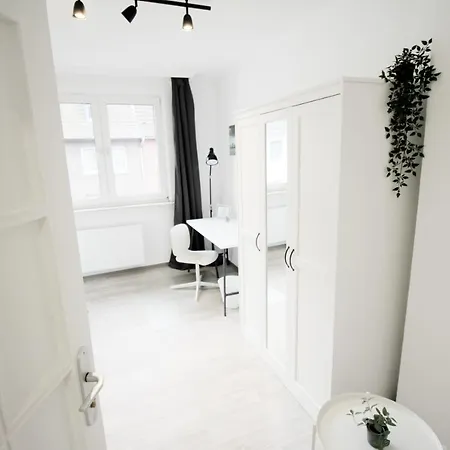 Sh Team 4 Fuer Max 19 Personen L Monteure L Messe L Business *