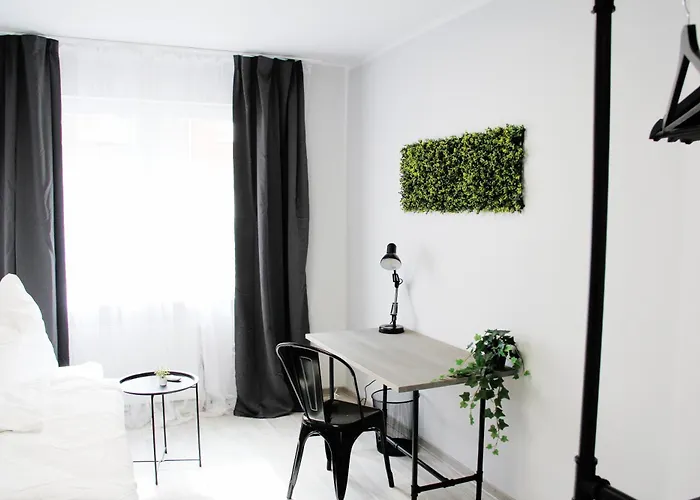 Sh Team 4 Fuer Max 19 Personen L Monteure L Messe L Business